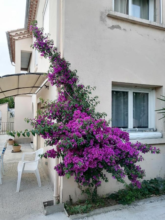 La Maison De 6Fran Appartement 2 Chaleureux Et Calme Ambiance Familiale Valros Екстер'єр фото